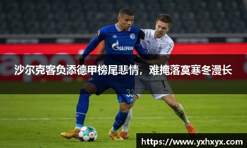 乐球体育直播