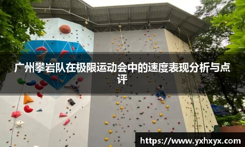 乐球体育直播