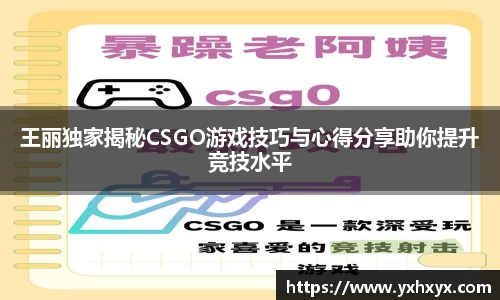 乐球体育