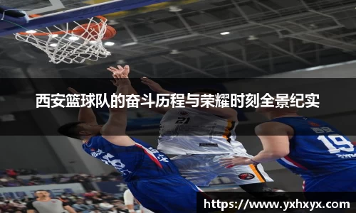 乐球体育直播