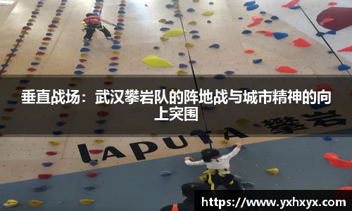 乐球体育直播