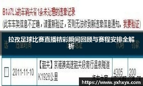 乐球体育直播