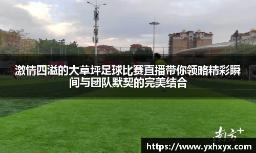 乐球体育直播在线观看
