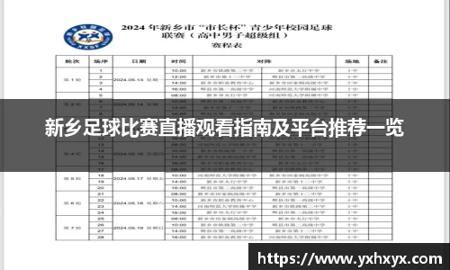 新乡足球比赛直播观看指南及平台推荐一览