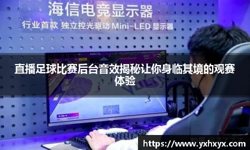 乐球直播体育