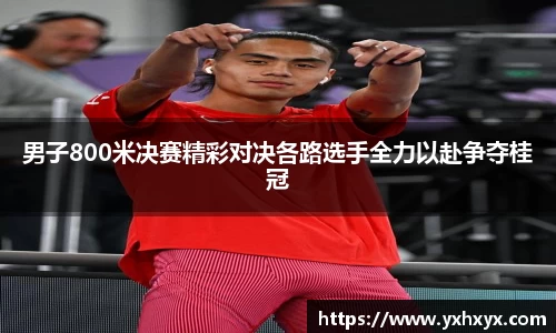 乐球直播体育